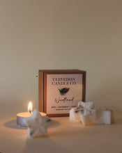 Load image into Gallery viewer, Woodland - Christmas Wax Melts