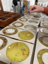 Load image into Gallery viewer, Clementine Tree Hanging
