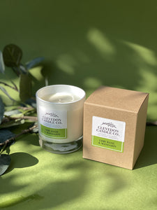 Lime Basil & Mandarin Candle - Clevedon Candle Co.